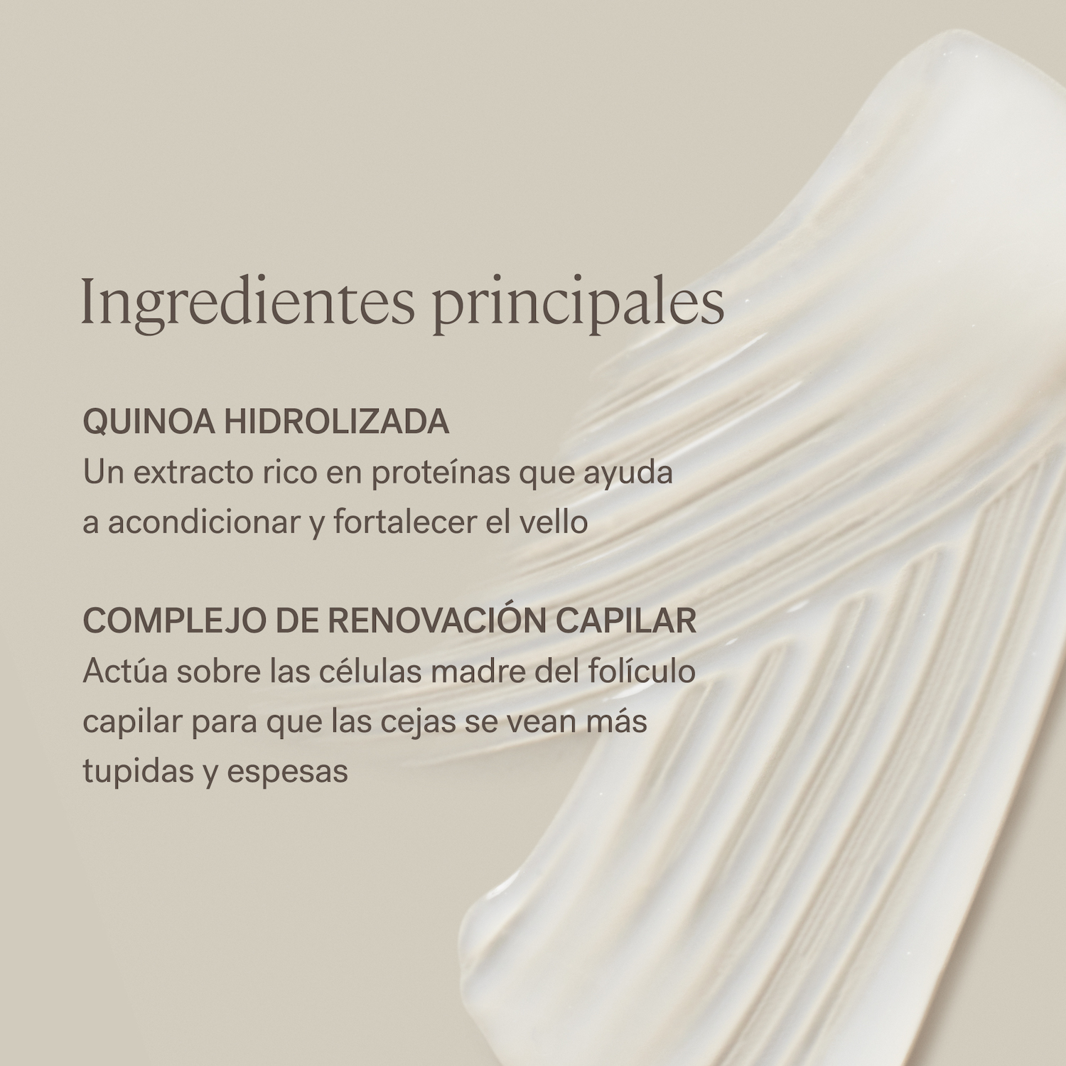 IN FRAME BROW GEL (GEL PARA CEJAS)